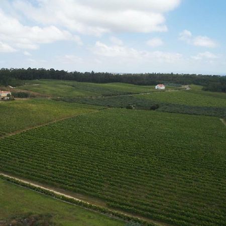Quinta Da Fogueira Villa Anadia Kültér fotó