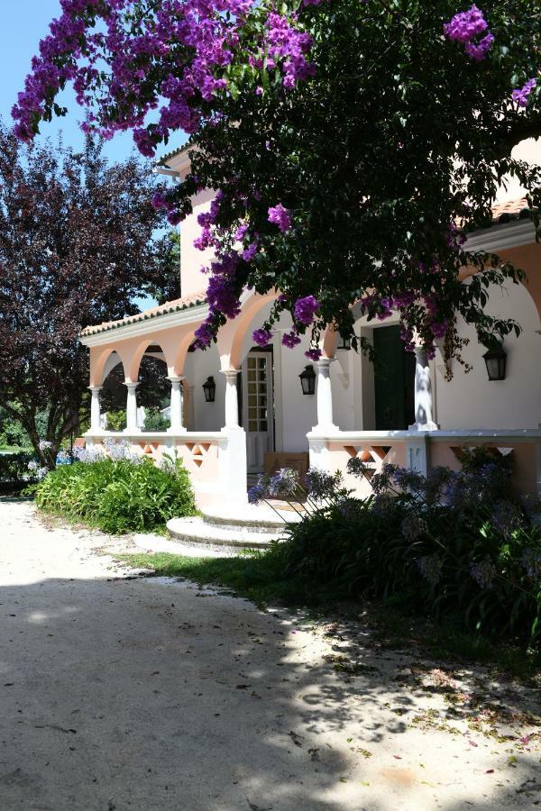 Quinta Da Fogueira Villa Anadia Kültér fotó