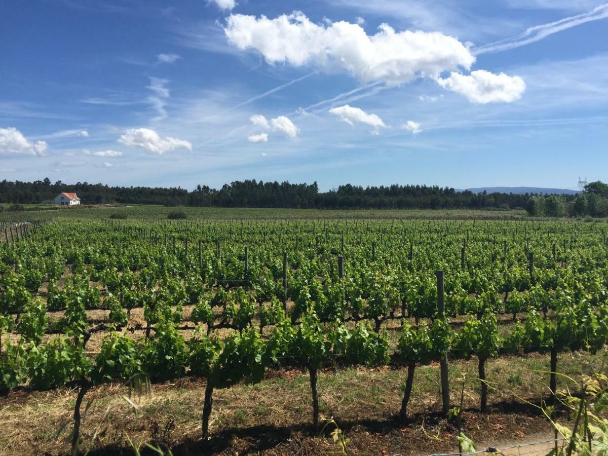 Quinta Da Fogueira Villa Anadia Kültér fotó