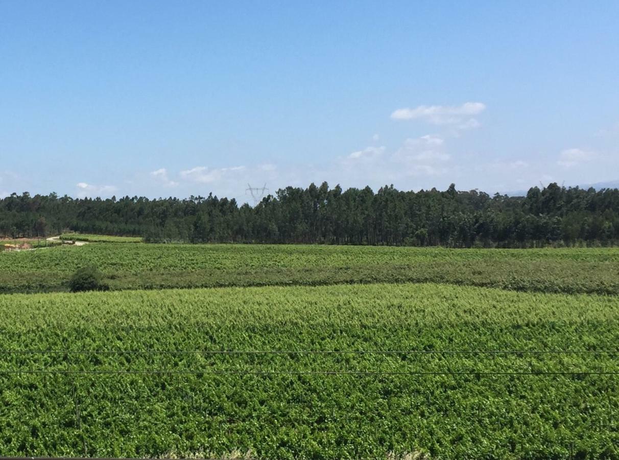 Quinta Da Fogueira Villa Anadia Kültér fotó
