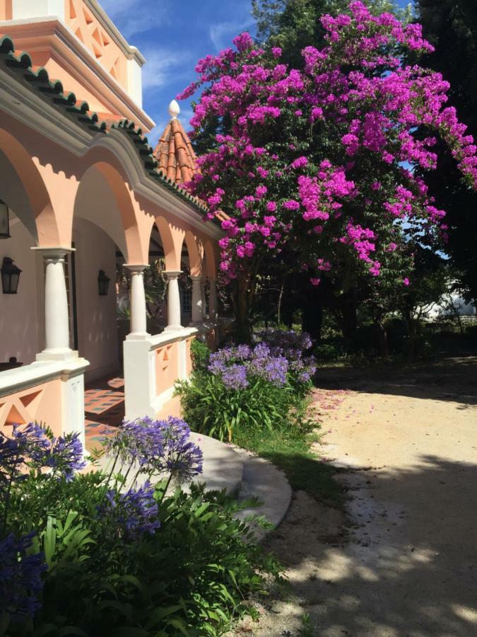 Quinta Da Fogueira Villa Anadia Kültér fotó