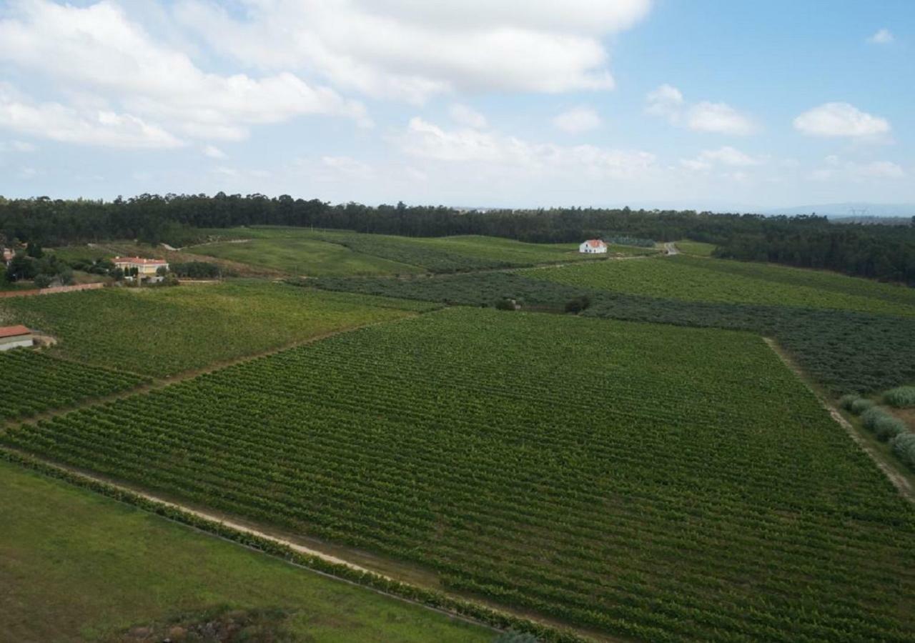 Quinta Da Fogueira Villa Anadia Kültér fotó