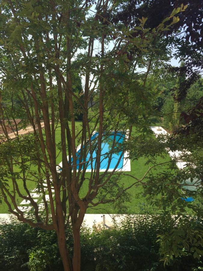 Quinta Da Fogueira Villa Anadia Kültér fotó